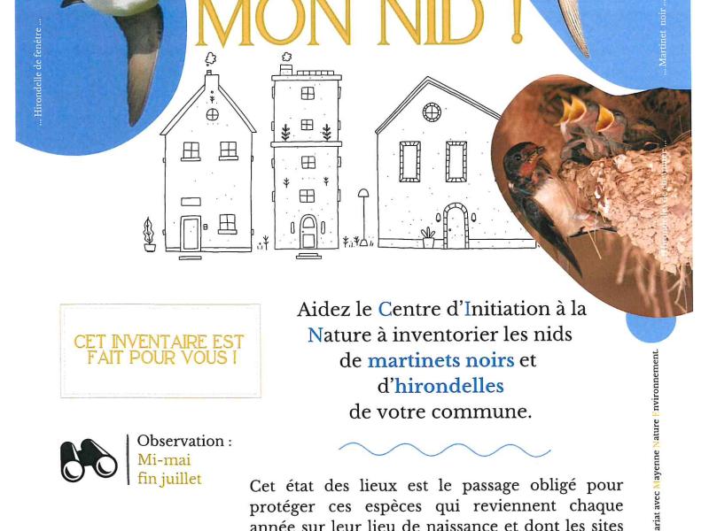 Inventaire des martinets-hirondelles