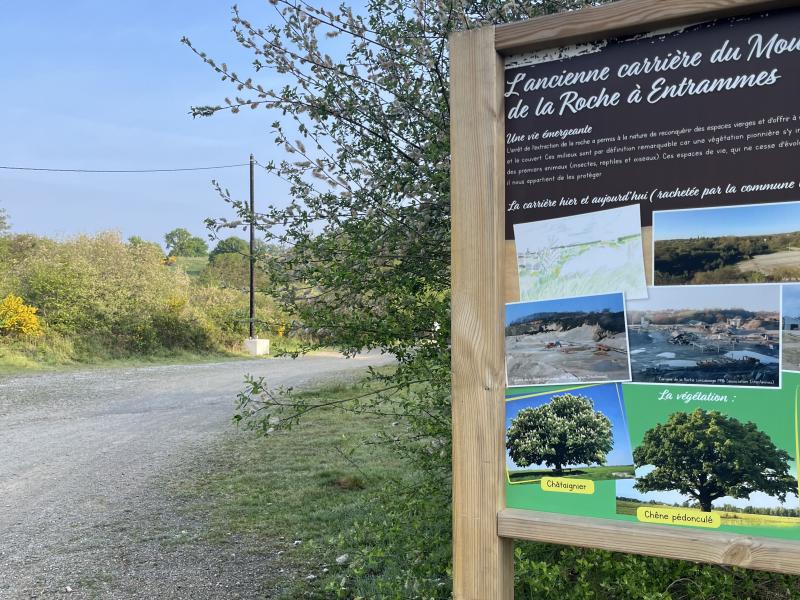 Les écoles et la carrière du Moulin de la Roche